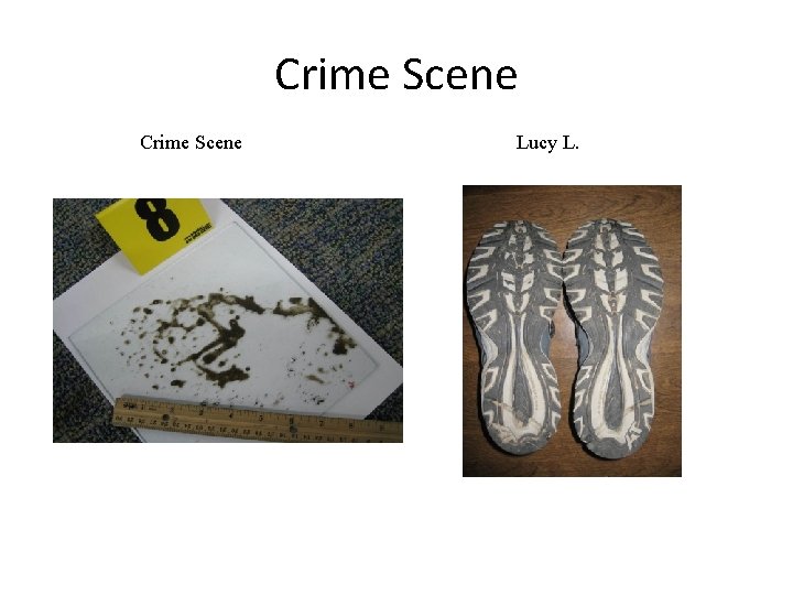 Crime Scene Lucy L. 