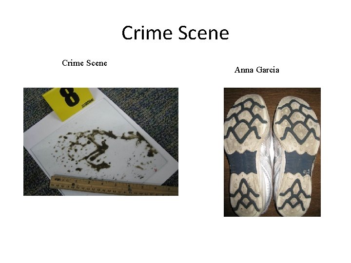 Crime Scene Anna Garcia 