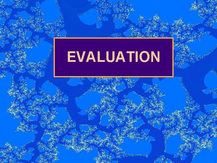 EVALUATION 