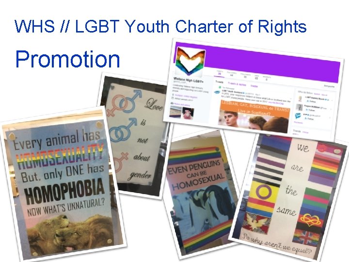 WHS // LGBT Youth Charter of Rights Promotion 