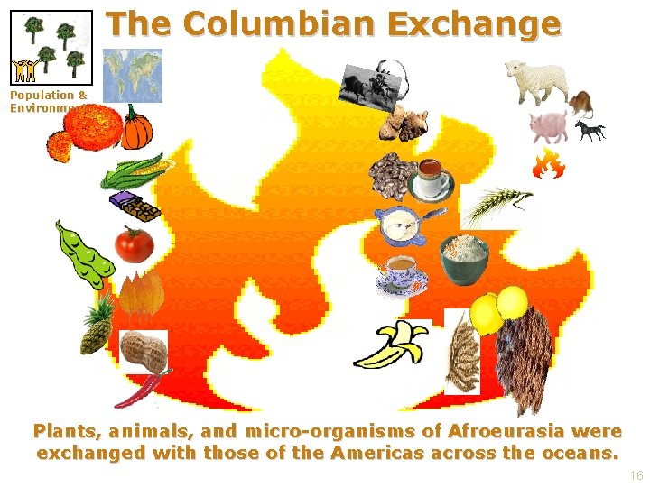 The Columbian Exchange Population & Environment Plants, animals, and micro-organisms of Afroeurasia were exchanged