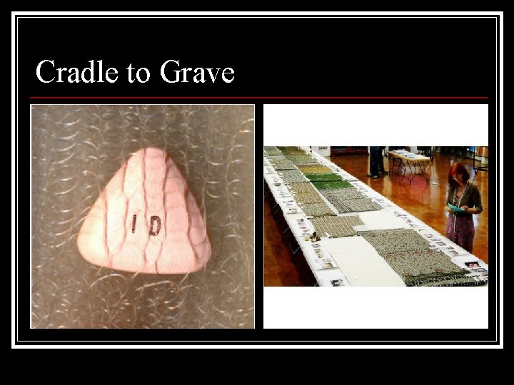 Cradle to Grave 