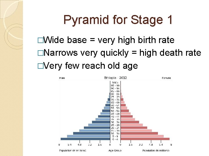 Pyramid for Stage 1 �Wide base = very high birth rate �Narrows very quickly