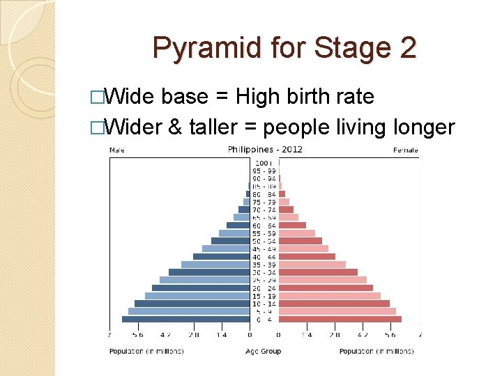 Pyramid for Stage 2 �Wide base = High birth rate �Wider & taller =