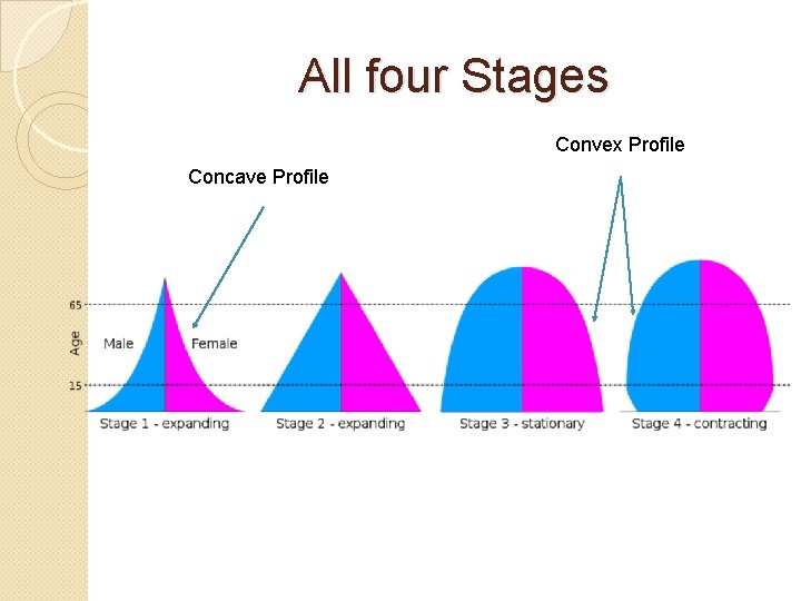 All four Stages Convex Profile Concave Profile 