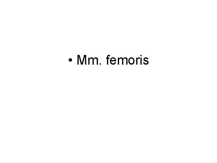  • Mm. femoris 