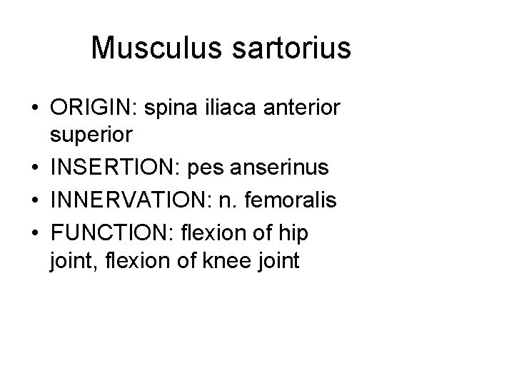 Musculus sartorius • ORIGIN: spina iliaca anterior superior • INSERTION: pes anserinus • INNERVATION: