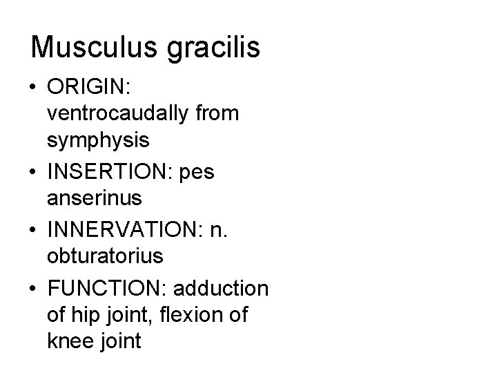 Musculus gracilis • ORIGIN: ventrocaudally from symphysis • INSERTION: pes anserinus • INNERVATION: n.