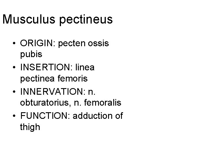 Muscles of the lower limb Mm coxae Musculus