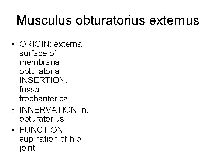 Musculus obturatorius externus • ORIGIN: external surface of membrana obturatoria INSERTION: fossa trochanterica •