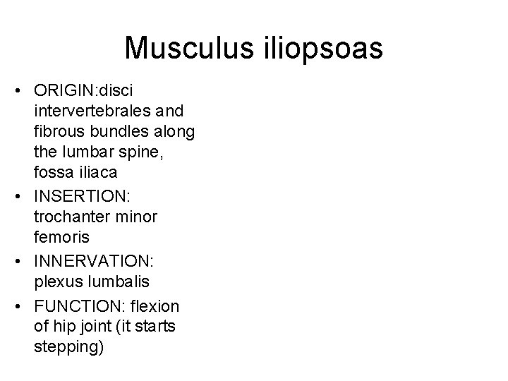 Musculus iliopsoas • ORIGIN: disci intervertebrales and fibrous bundles along the lumbar spine, fossa