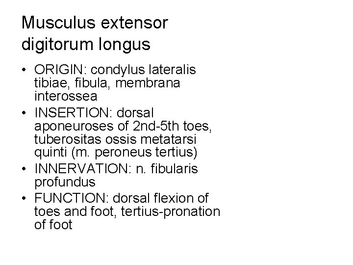 Musculus extensor digitorum longus • ORIGIN: condylus lateralis tibiae, fibula, membrana interossea • INSERTION: