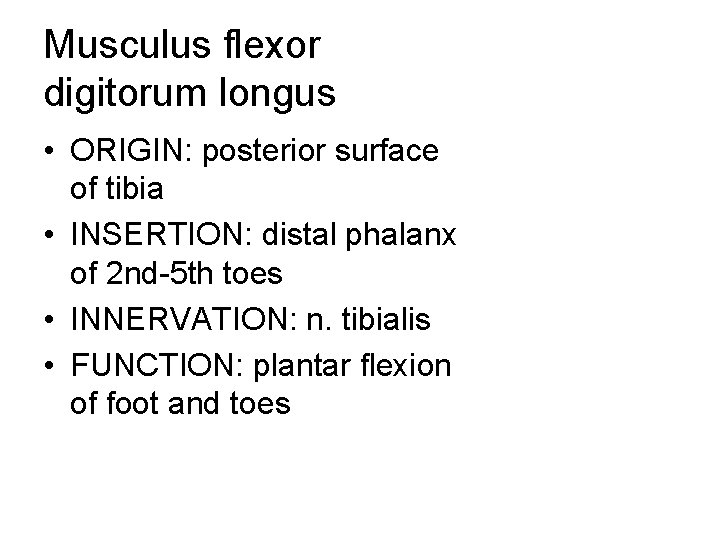 Musculus flexor digitorum longus • ORIGIN: posterior surface of tibia • INSERTION: distal phalanx