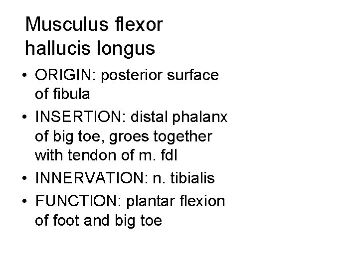 Musculus flexor hallucis longus • ORIGIN: posterior surface of fibula • INSERTION: distal phalanx