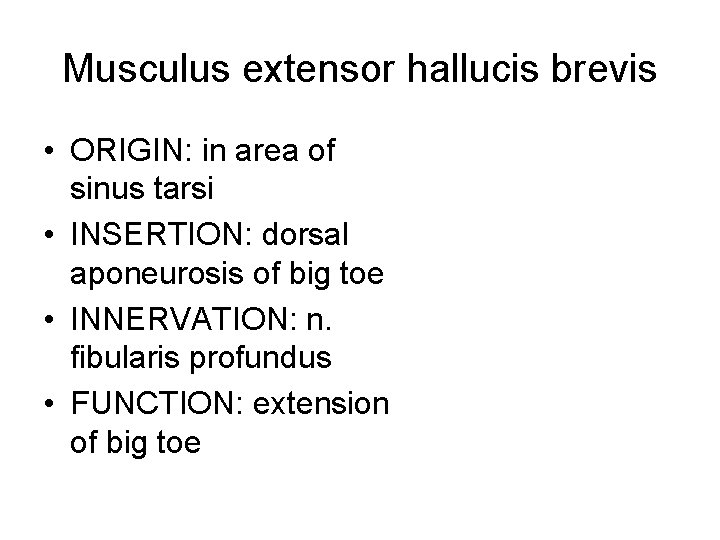 Musculus extensor hallucis brevis • ORIGIN: in area of sinus tarsi • INSERTION: dorsal