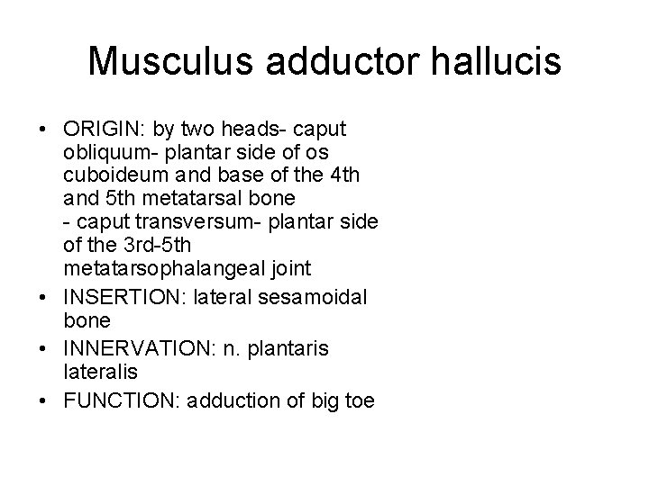 Musculus adductor hallucis • ORIGIN: by two heads- caput obliquum- plantar side of os
