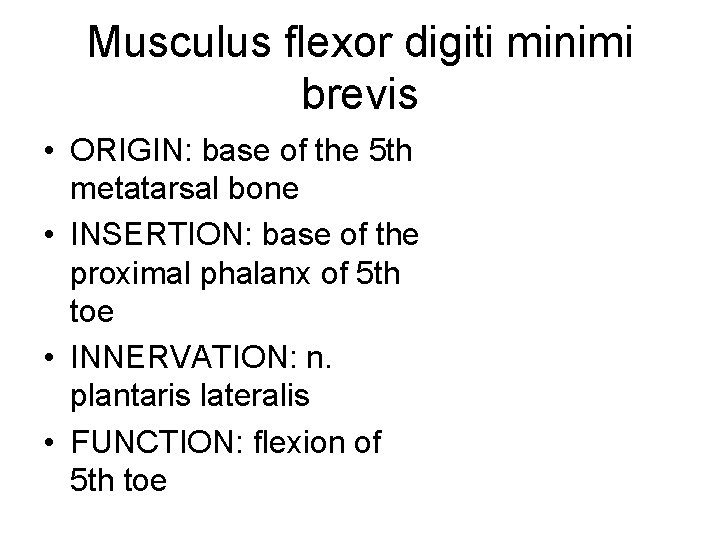 Musculus flexor digiti minimi brevis • ORIGIN: base of the 5 th metatarsal bone