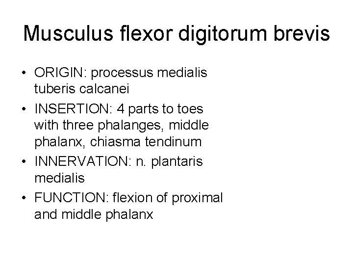 Musculus flexor digitorum brevis • ORIGIN: processus medialis tuberis calcanei • INSERTION: 4 parts