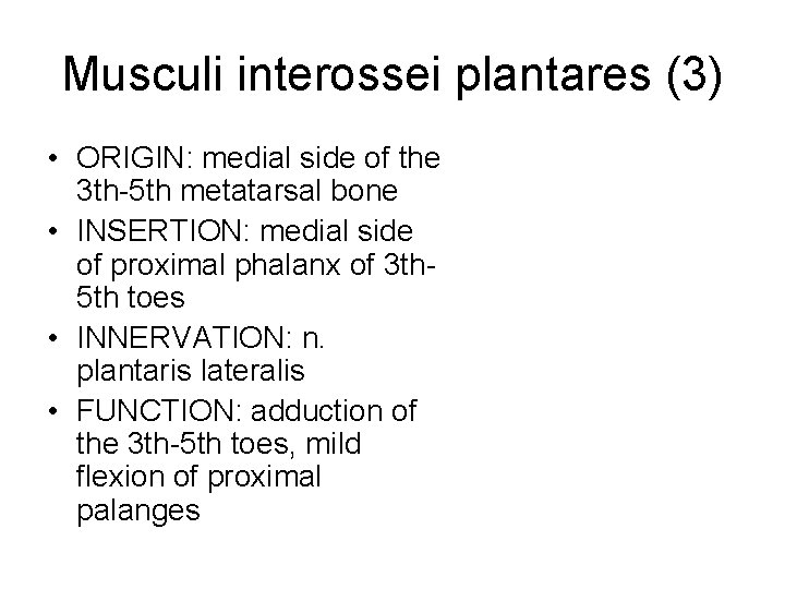 Musculi interossei plantares (3) • ORIGIN: medial side of the 3 th-5 th metatarsal