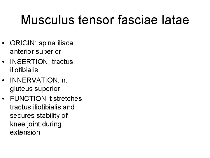 Musculus tensor fasciae latae • ORIGIN: spina iliaca anterior superior • INSERTION: tractus iliotibialis