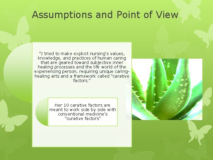 Assumptions and Point of View “I tried to make explicit nursing's values, knowledge, and