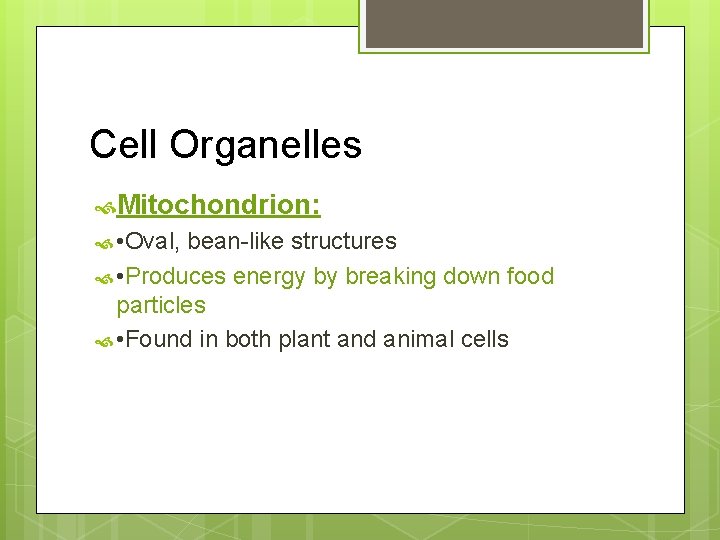 Cell Organelles Mitochondrion: • Oval, bean-like structures • Produces energy by breaking down food