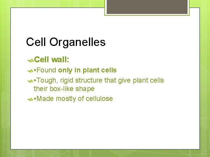 Cell Organelles Cell wall: • Found only in plant cells • Tough, rigid structure