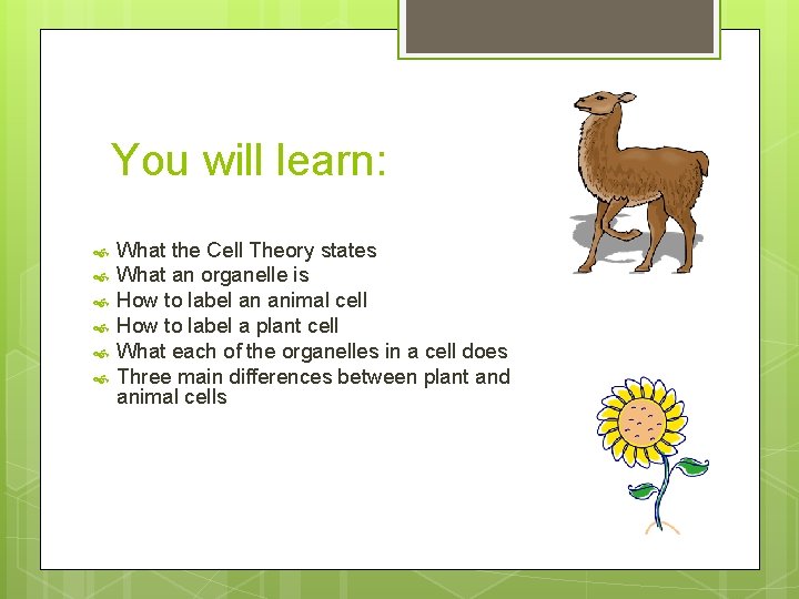 You will learn: What the Cell Theory states What an organelle is How to