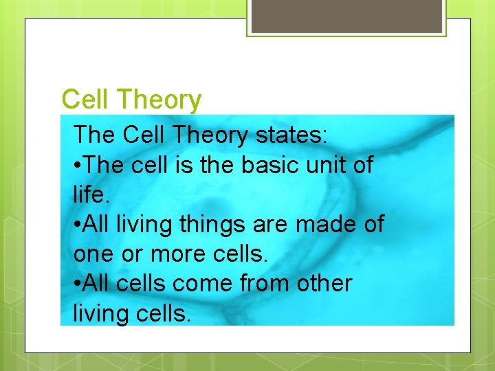 Cell Theory The Cell Theory states: • The cell is the basic unit of