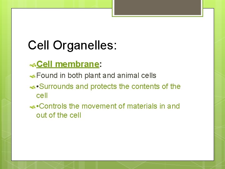 Cell Organelles: Cell membrane: Found in both plant and animal cells • Surrounds and
