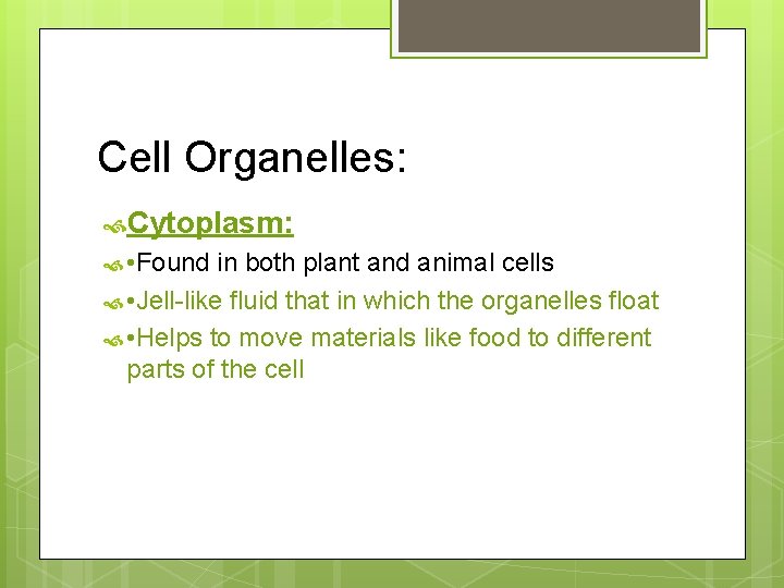 Cell Organelles: Cytoplasm: • Found in both plant and animal cells • Jell-like fluid