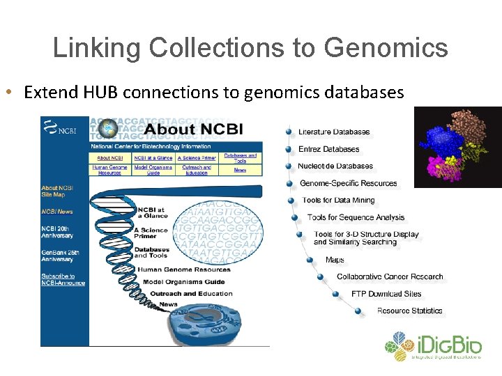 Linking Collections to Genomics • Extend HUB connections to genomics databases 