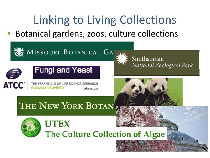 Linking to Living Collections • Botanical gardens, zoos, culture collections 