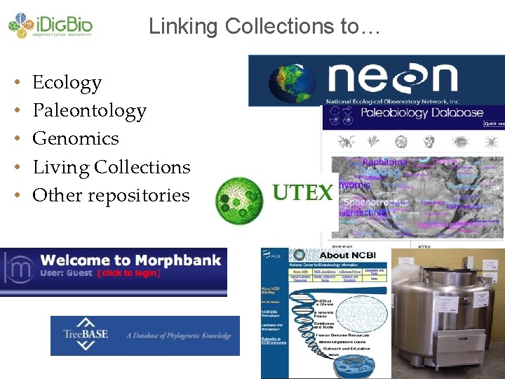 Linking Collections to… • • • Ecology Paleontology Genomics Living Collections Other repositories 
