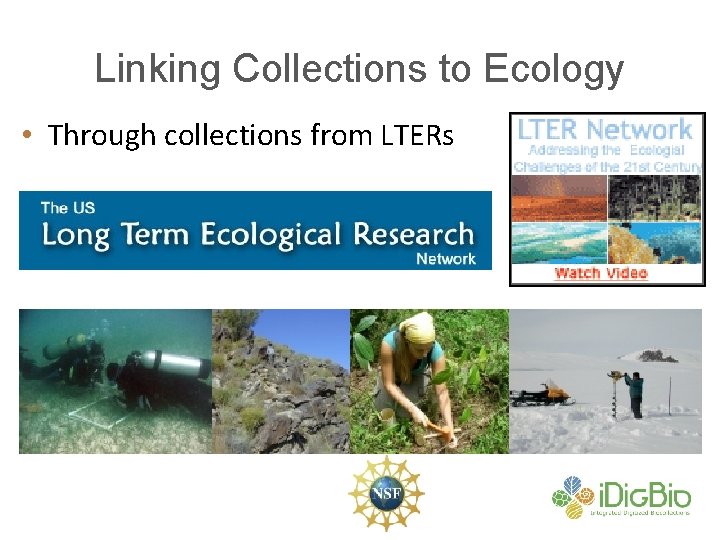 Linking Collections to Ecology • Through collections from LTERs 