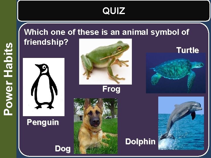 Power Habits QUIZ Which one of these is an animal symbol of friendship? Turtle