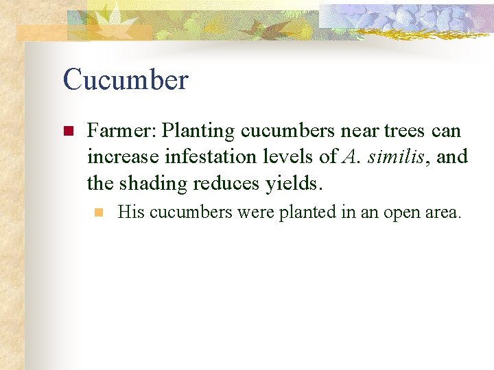 Cucumber n Farmer: Planting cucumbers near trees can increase infestation levels of A. similis,