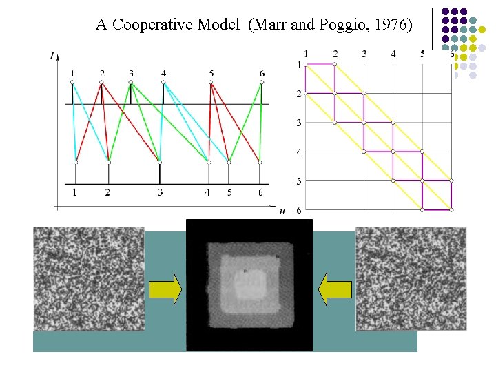 A Cooperative Model (Marr and Poggio, 1976) Excitory connections: continuity Inhibitory connections: uniqueness Iterate: