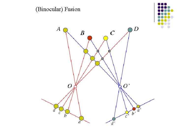 (Binocular) Fusion 