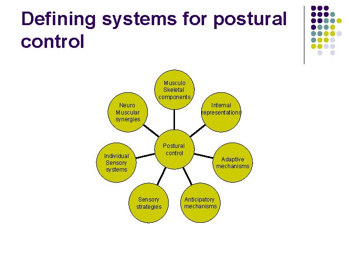 Defining systems for postural control Musculo Skeletal components Neuro Muscular synergies Internal representations Postural