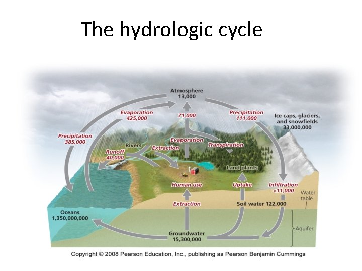 The hydrologic cycle 