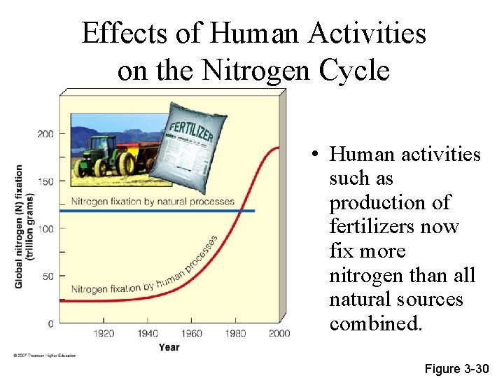 Effects of Human Activities on the Nitrogen Cycle • Human activities such as production