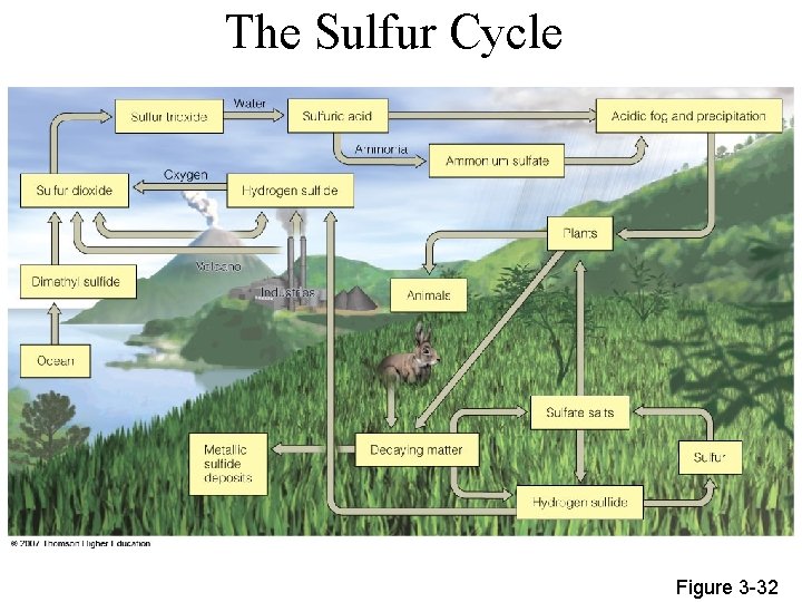 The Sulfur Cycle Figure 3 -32 