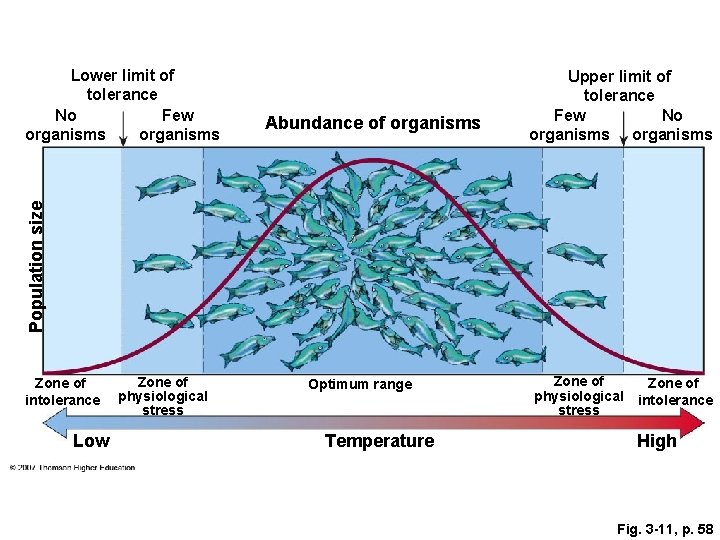 Abundance of organisms Upper limit of tolerance Few No organisms Population size Lower limit