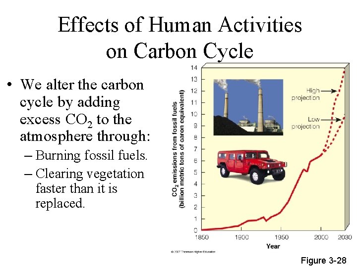 Effects of Human Activities on Carbon Cycle • We alter the carbon cycle by