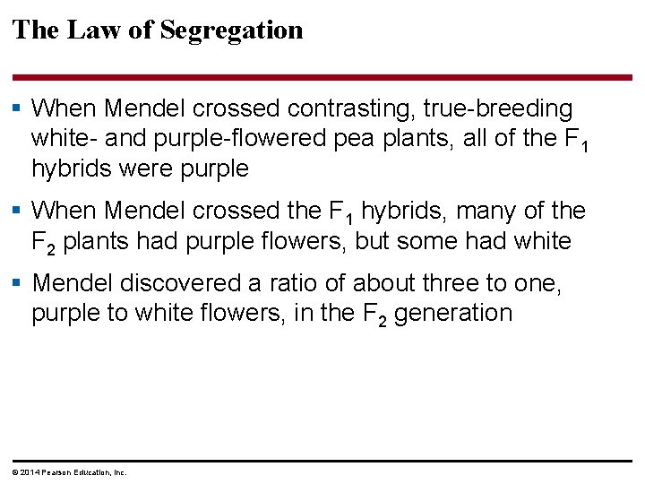 The Law of Segregation § When Mendel crossed contrasting, true-breeding white- and purple-flowered pea