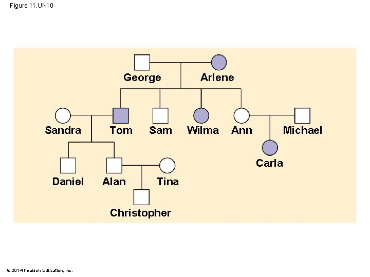 Figure 11. UN 10 George Sandra Tom Sam Arlene Wilma Ann Michael Carla Daniel