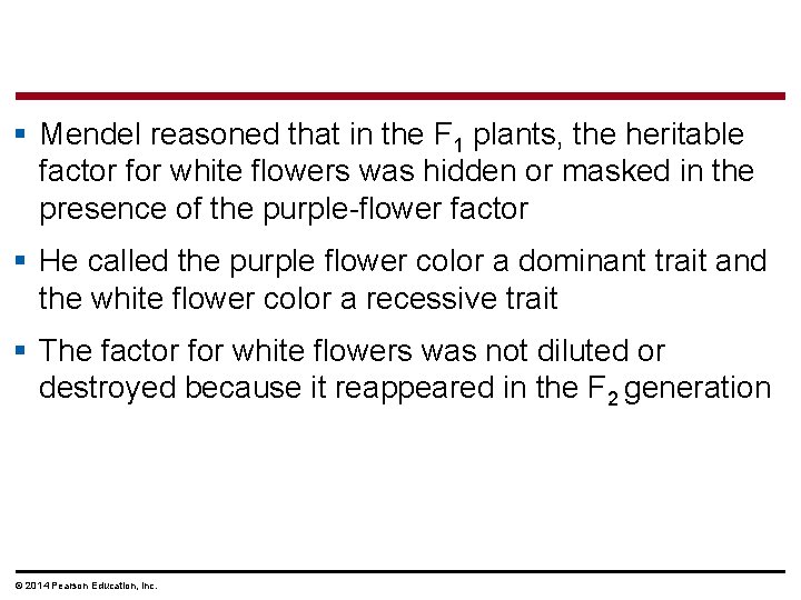 § Mendel reasoned that in the F 1 plants, the heritable factor for white