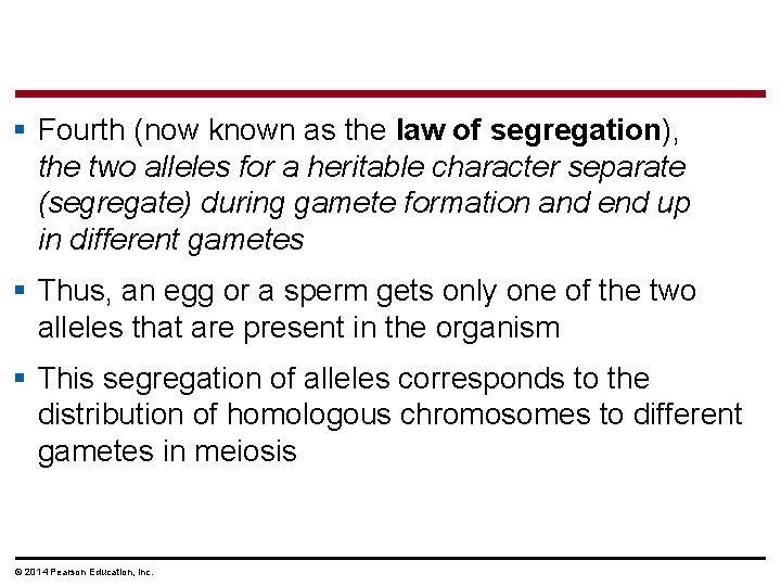 § Fourth (now known as the law of segregation), the two alleles for a