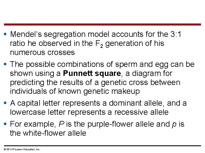 § Mendel’s segregation model accounts for the 3: 1 ratio he observed in the